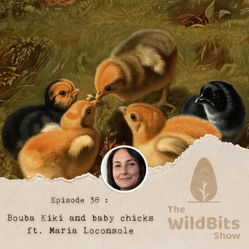 Bouba Kiki and baby chicks ft. Maria Loconsole