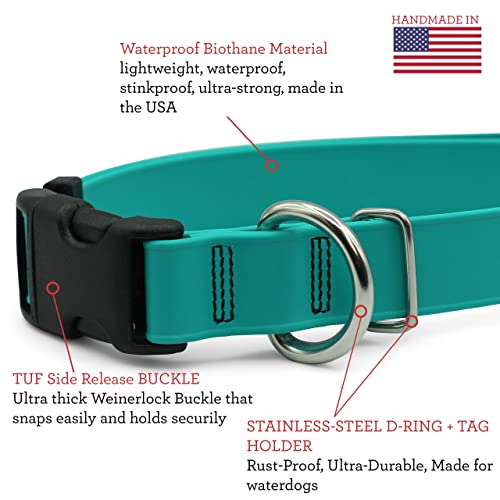 Packt - Endeavor Waterproof Dog Collars For Medium Dogs - Waterproof, No Stink, Made In Usa | Ocean - Medium Dog Collar | Teal Dog Collars For Medium Dogs Females & Males | M-L Dog Collar For Dogs #TOP2