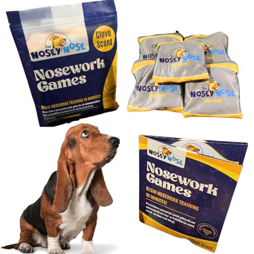 Best Nose Work Games For Dogs