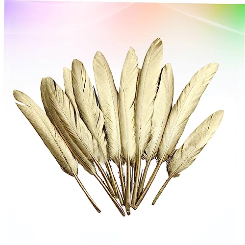 Plumas hermosas para decorar jarrones y arreglos florales 3