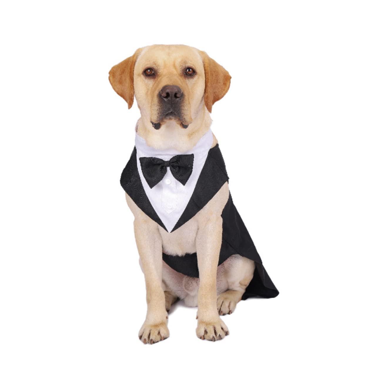 Housoutil 3pezzi Camicia Per Cani Cotone Con Cravatta Tuxedo Elegante Per Matrimoni e Occasioni Speciali Abbigliamento Alla Moda Per Pet Fashion e Cosplay