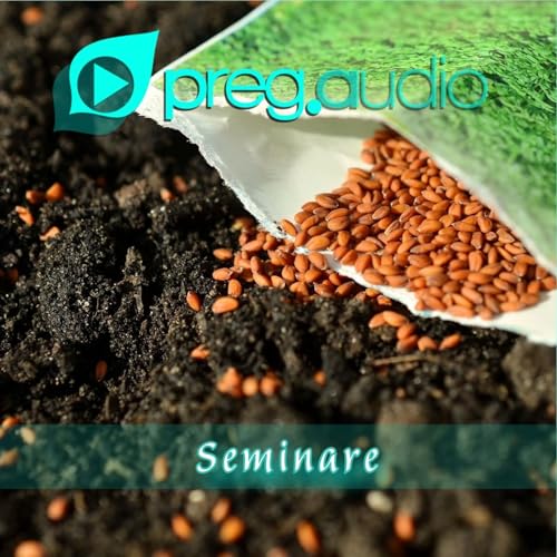 Vangelo del 28 Gennaio 2026: Marco 4,1-20 con il commento di Suor Nella Letizia Castrucci copertina