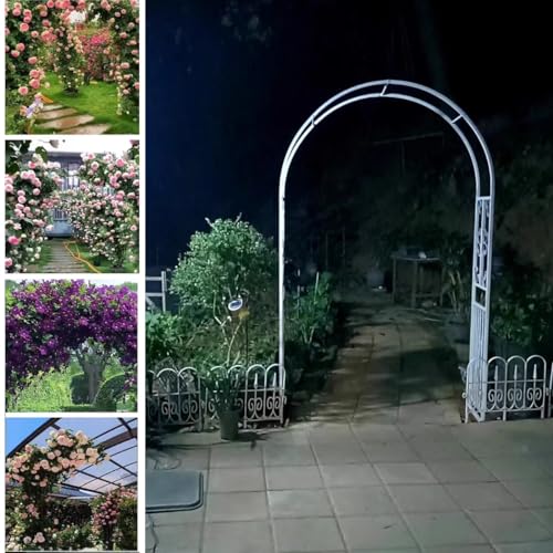 Arche de jardin robuste à assemblage facile en métal blanc modulable