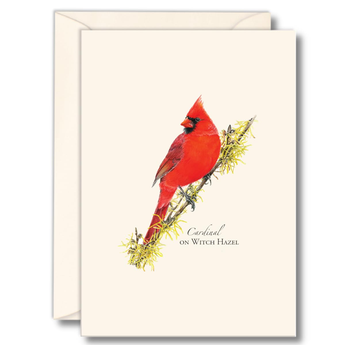 Earth Sky + Water - Cardinal on Witch Hazel Notecard Set - 8 Blank Cards with Envelopes