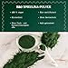 NaturaleBio Spirulina Pulver 100g. Natürliches und rohes Spirulina-Algen Pulver. Vegan und rein. In Tropischen Regionen Asiens kultiviert. Ideal für Getränke, Smoothies und Rezepte.