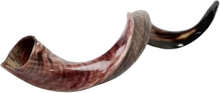 Large Yemenite Kudu Shofar 3840 inch Authentic Kosher Shofar from Israel Handcrafted Natural Kudu Horn Shofar with Carrying Bag Shofarot Israel