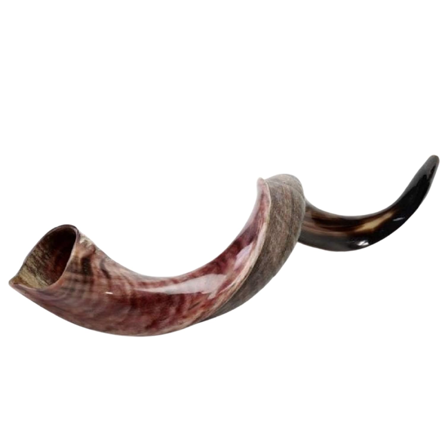 Großer jemenitischer Kudu-Schofar (96,5–101,6 cm) – authentischer koscherer Schofar aus Israel – handgefertigter natürlicher Kudu-Horn-Schofar mit Tragetasche – Shofarot Israel