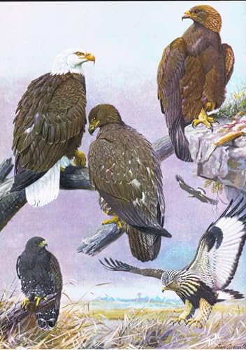 Tableau Toile Portrait Affiches d'Art Animal doré Peinture Décorative 60x90cm