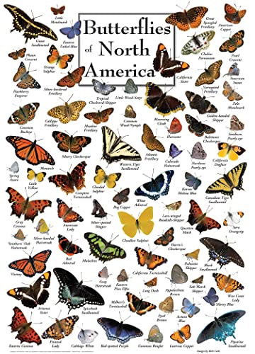 Rompecabezas MasterPieces de 1000 piezas para adultos, familia o jóvenes: Mariposas de Norteamérica, 19,25" x 26,75" miniatura 2