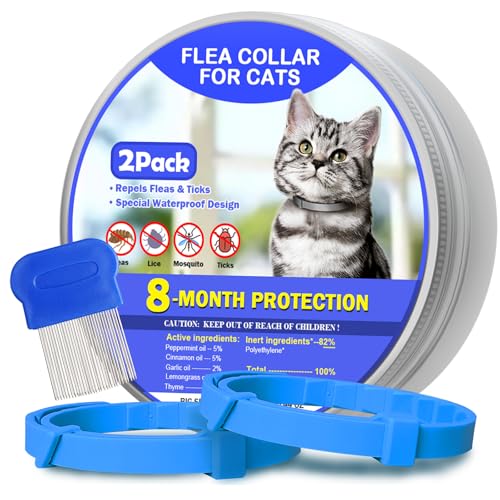 View of Flea Collars for Cats – The 15 best products compared - Wild Explained