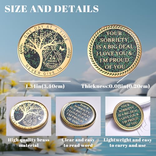 Image of LParkin 24 Hours Sobriety Chip, Tree of Life Recovery Coin, AA Recovery Medallion, Anniversary Token Sobriety Gifts, Alcoholics Anonymous Medallion