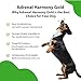 Pet Wellbeing Adrenal Harmony Gold for Dogs - Vet-Formulated - Adrenal Gland Supplement for Dogs, Ashwagandha, Astragalus, Bacopa, Holy Basil - Herbal Supplement – 4 oz (118 ml)