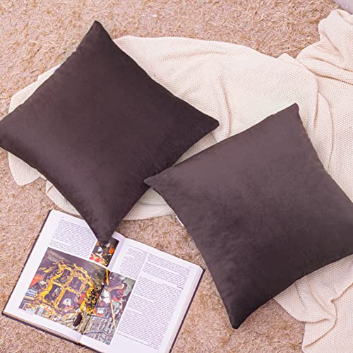 Image of Cazimo Velvet Cushion Covers for Bed, Sofa and Couch - 16 * 16 inches | Ideal for Living Room | Set of 2, Brown