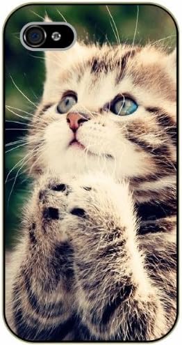 iPhone 5C Praying kitty - black plastic case / Nature, Animals, Places Series, cat, kittens