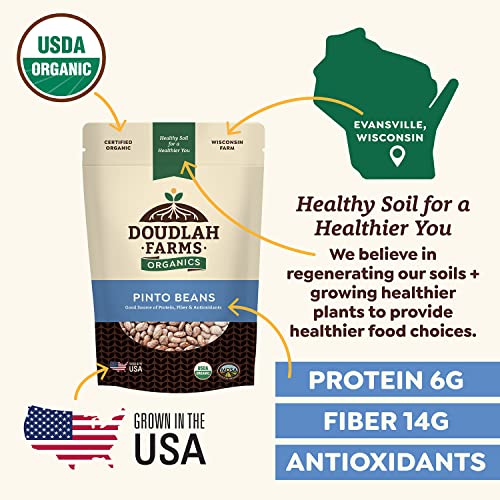 Organic Dried Pinto Beans 1 lb - Non-GMO, Tested Clean Certified, Vegan - Rich in Fiber & Protein for Soups, Burritos, Salads, and Chili - Farmed From Regenerative Soil, Grown In USA by Doudlah Farms - Image 6