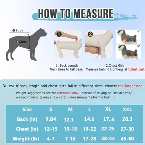 Image of SlowTon Dog Surgery Recovery Suit, Surgical Onesie for Female Male Dogs