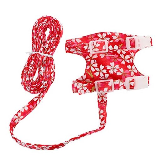 Balacoo Små Djur Sele Och Koppel Små Husdjur Iller Sele Utomhus Gå Sele Väst Dra Rep Dekor Bröstband Sele För Kanin Iller Marsvin