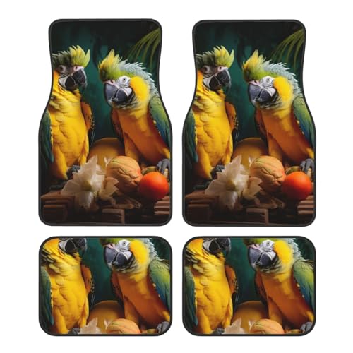 Tapis de sol perroquet pour protéger votre voiture lors des trajets en famille