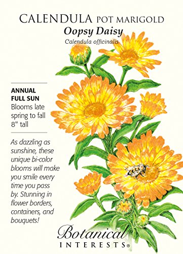 Botanical Interests, Seed Calendula Oopsy Daisy Botanical Interests, Seed Calendula Oopsy Daisy