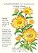 Oopsy Daisy Calendula Pot Marigold Seeds - 700 mg