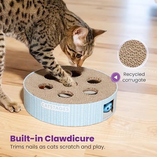 Catstages Scratch N' Hunt Interactive Cat Puzzle Toy with Scratcher Corrugate for Nail Care, Engages Hunting Instincts by Catstages - Image 6