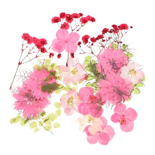 30 piezas de flores secas para manualidades DIY