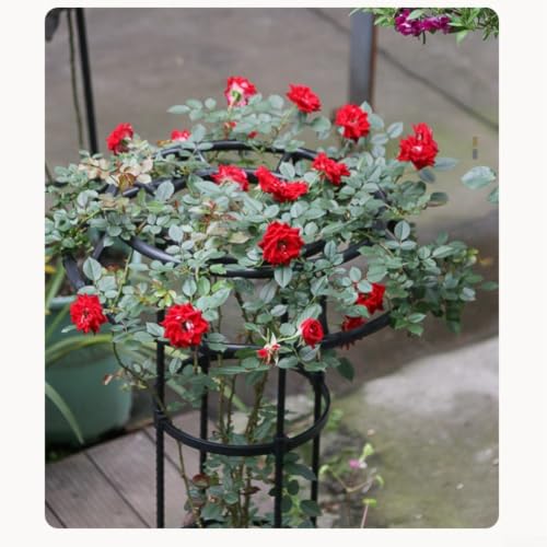Soporte de torre de obelisco de jardín para plantas trepadoras y vid de tomate 6