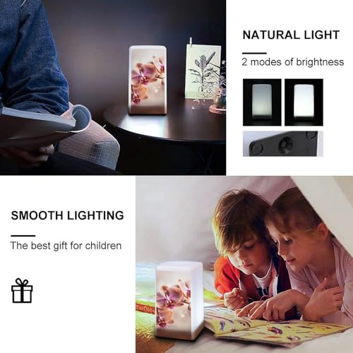 Lampe de bureau à piles avec intensité variable pour la lecture - 4