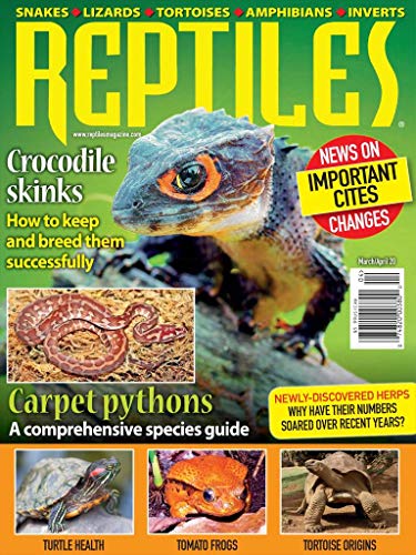 Reptiles