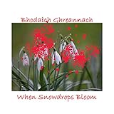 rc robin 2160  When Snowdrops Bloom