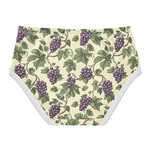 Vintage Grape Pattern Toddler Girls's Underwear 2T 202c11302