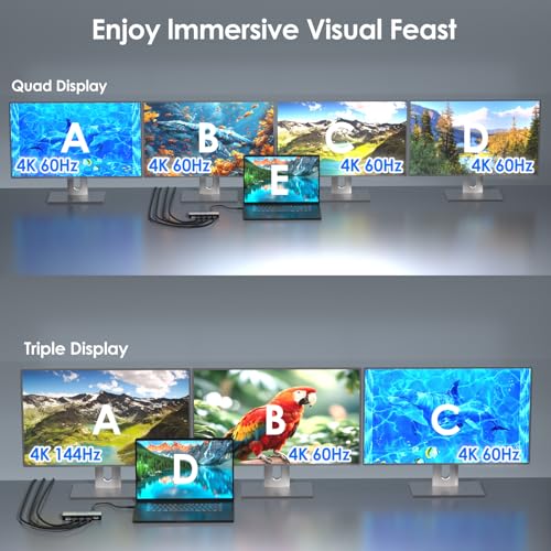 Thunderbolt 4 Docking Station Dual Monitor