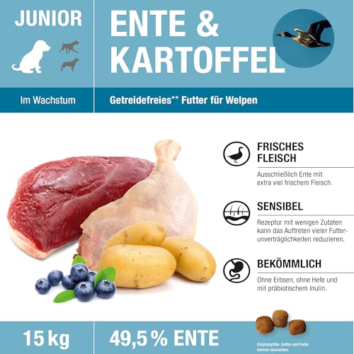 Wildsterne Ente & Kartoffel Junior 15 kg| Getreidefreies Trockenfutter | Monoprotein | von Tierärzten entwickelt