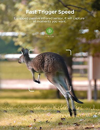 Ceyomur Trail Camera, 20Mp 1080P Hunting Camera With Low Glow Ir Leds Night Vision Motion Activated, Video Game Camera With Ip66 Waterproof For Wildlife Monitoring #TOP4