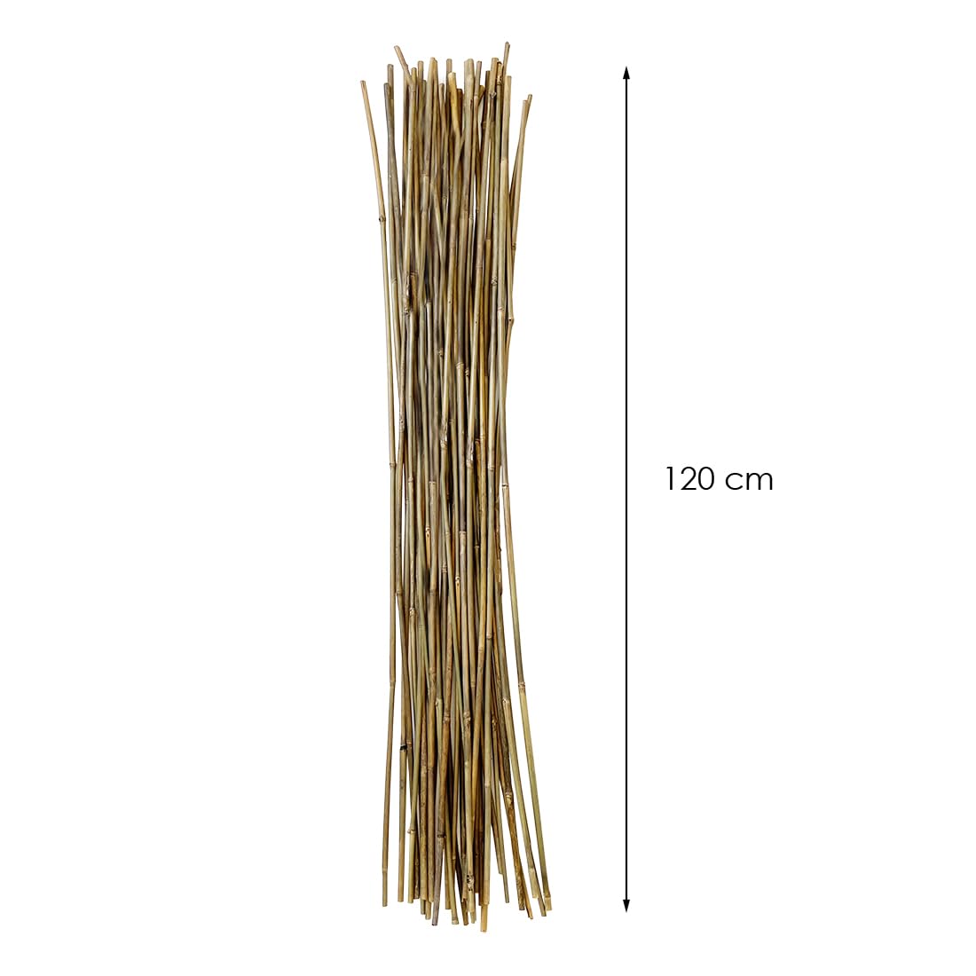 Acomoda Textil - Tutores de Bambú para Agricultura y Jardinería - Pack 30 Varillas Estables y Robustas (120 cm, 8/11 mm)