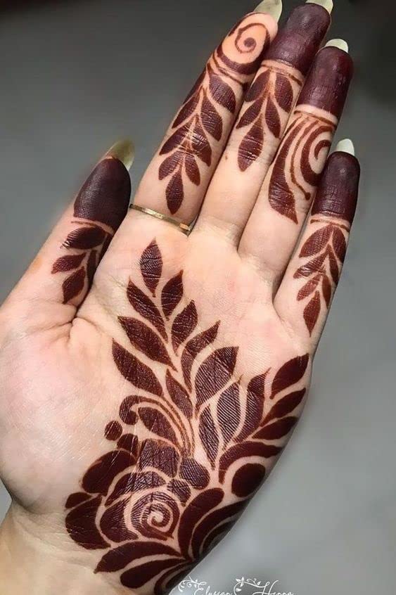 Image of Beauty Parlour Bridal Special Dulhan Mehndi Cone | Organic Mehendi Cones | (pack of 6)