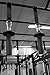 CFF Pit Bull 2" Post Grips-Monster Grippers (pair) Grip Strength, Built for Pull Up Rigs
