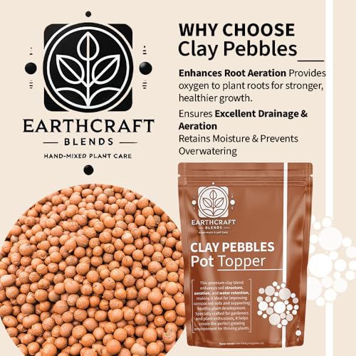 Invigortex Clay Pebbles for Plant Pots – Lightweight Expanded Clay Pebbles for Plants & Hydroponics – Ideal for Drainage & Aeration – Clay Pebbles 20L & More (1L-50L) (1 Litre)