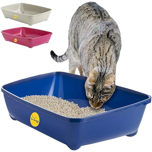 CAT CENTRE Dark Blue Jumbo Open Cat Litter Tray 56cm XL Pet Toilet Kitten Easy Clean Plastic Portable Pan Loo Box Rounded Corners - Indoor & Outdoor - Kittens Adult Elderly Cats Trays Easy Access