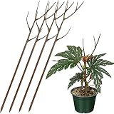 Twig Plant Support Stakes - Set of 4, 27.5 inch | Detachable Trellis for Potted Plants | Perfect Alt