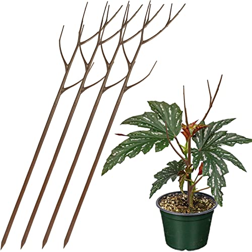 Twig Plant Support Stakes - Set Of 4, 27.5 Inch | Detachable Trellis For Potted Plants | Perfect Alternative To Moss Pole For Monstera And Other Climbing Houseplants #TOP21