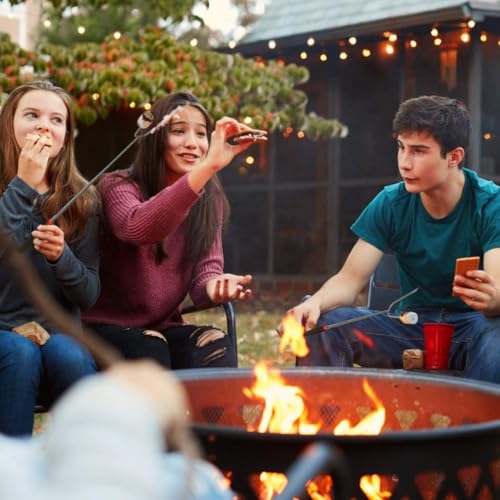 Tapirus 4 Ausziehbare Camping-Sticks zum Marshmallow-Braten, langlebige Edelstahl-Ausrüstung, Grillspieße mit isolierten Griffen, Teleskop-Gabeln, Utensilien für Smores, Hot Dogs & Shish-Kebabs