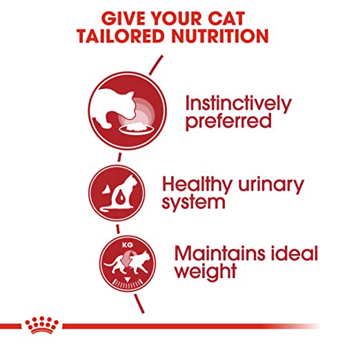 Image of Royal Canin Adult Instinctive Wet Cat Food, Fish, 85 g (24 Pack)