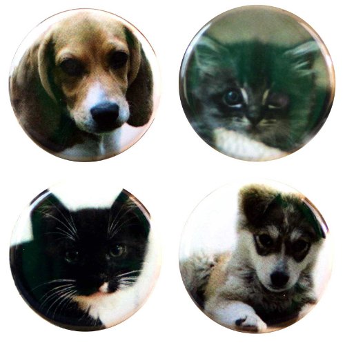 Buttonsmith® Puppies And Kittens 1.25" Refrigerator Magnet Set - Made In The Usa #TOP27