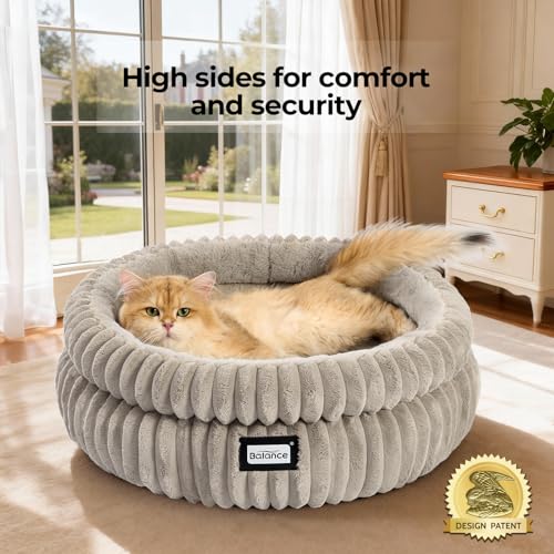 Image of BALANCE Cat Bed Kitten Bed, Washable Round Cat Beds for Indoor Cats,Super Soft Plush Faux Fur Pet Bed for Puppy and Kitten with Anti-Slip Bottom