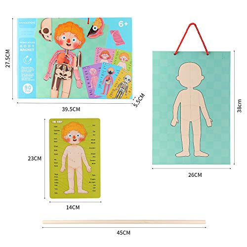 Wondertoys Human Body Puzzle For Kids - 90 Pcs Skeleton Puzzle Body Parts For Toddlers Wooden Magnetic Puzzle Educational Human Anatomy Body Puzzles To Learn Body Parts, Preschool Classroom Must Haves #TOP5