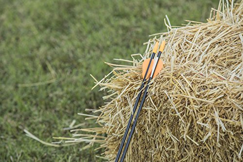 image for Bear Archery Youth Safetyglass Arrows (3 Per Card) , 26-Inch - AS38000