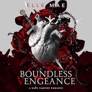 Boundless Vengeance cover art