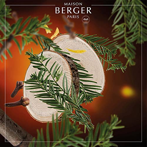 Ambientador Reed Diffuser Maison Berger 125 ml miniatura 4