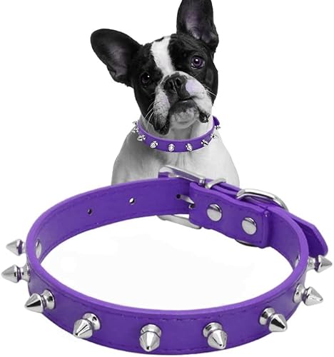 Pimaodog XpCN X^bY U[ hbO J[ }bV[ xbg L  ^ ^ L q qL qL (XS, p[v)